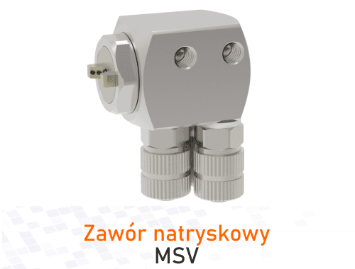 MSV